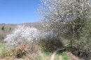 GR5, montée au Fort Dorsner